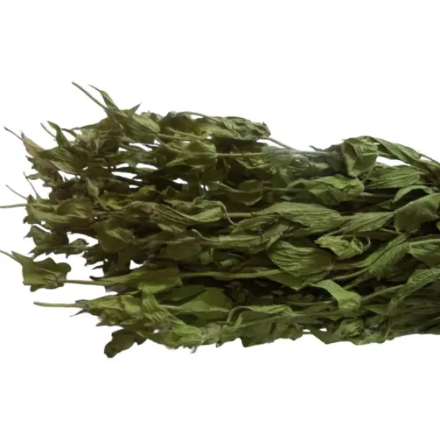 Adaçayı Alanya-antalya Dmt