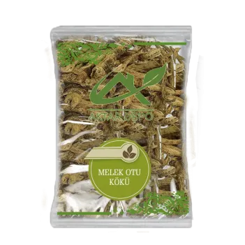 Melek Otu Kökü