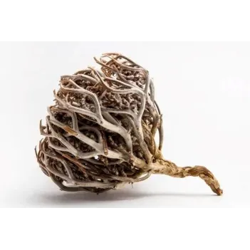 Sanita Meryem Ana Eli Bitkisi 50 Gr