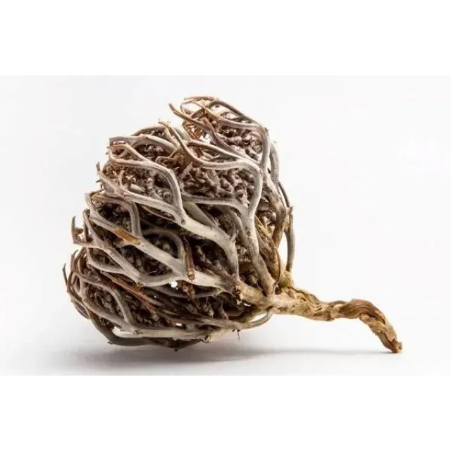 Sanita Meryem Ana Eli Bitkisi 50 Gr