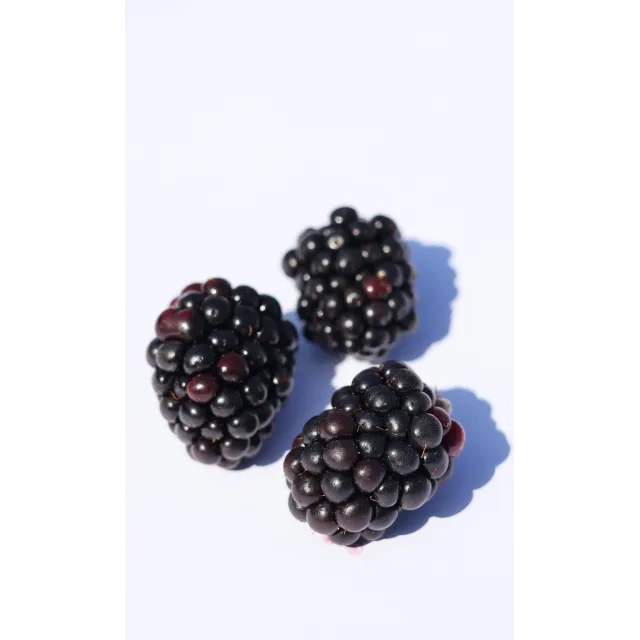 Böğürtlen Meyvesi 500 GR