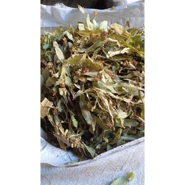 Ihlamur Yaprak İthal