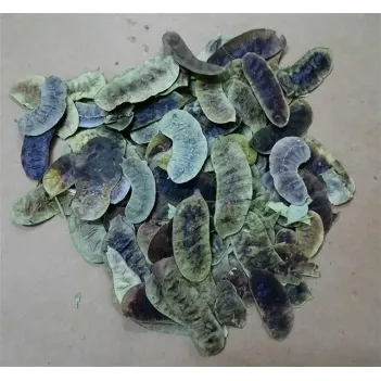 Aşlık Otu-açlık Otu 500 GR