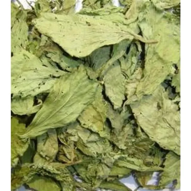 Şeker Otu (gurmar-cinnema)