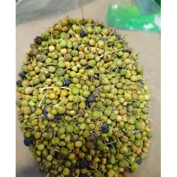 Acı Çehre Meyvesi Yeşil