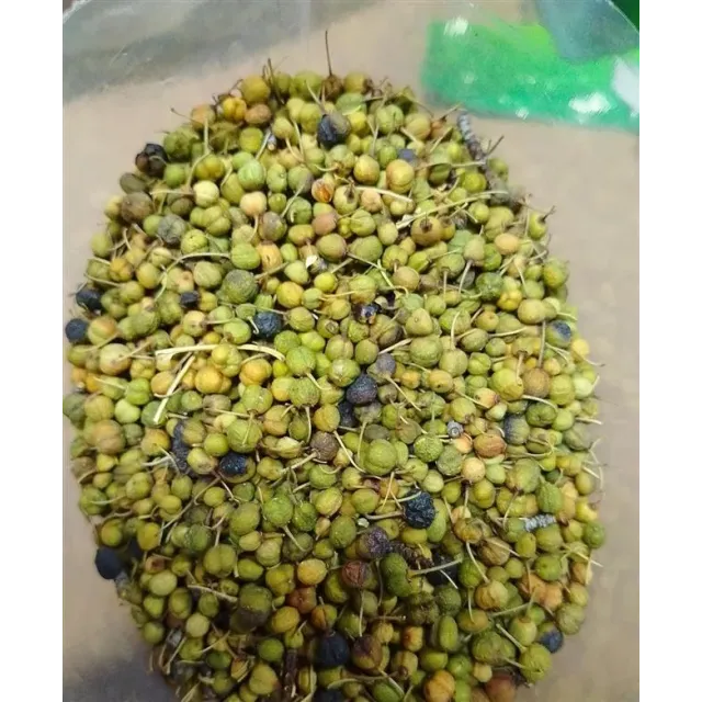 Acı Çehre Meyvesi Yeşil 100 GR