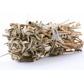 Adaçayı Demet Kg Kültür