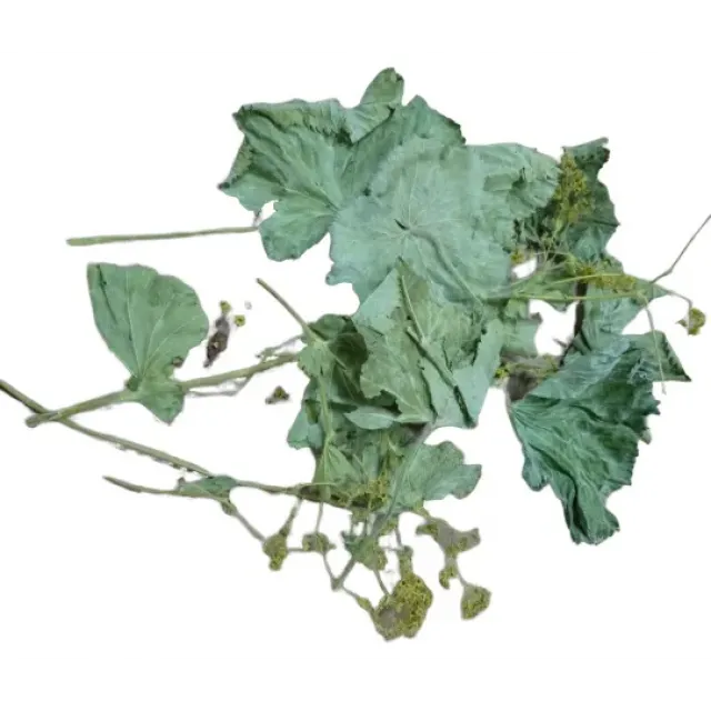 Aslan Pençesi 500 GR