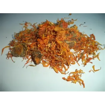 Aynısefa Çiçeği Sarı