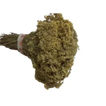 Ayvadana Demet(civanperçemi)