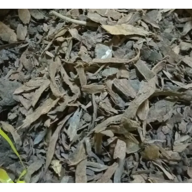 Yaprak Buhur-amber Kabuğu