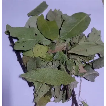 Dağ Çileği-kocayemiş Yaprağı Granül