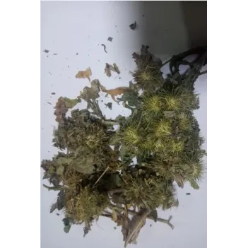 Dul Avrat Otu - Ulu Avrat Otu 500 GR