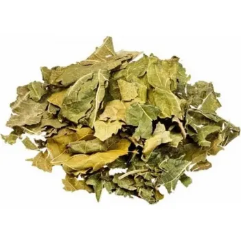 Dut Yaprağı 500 GR