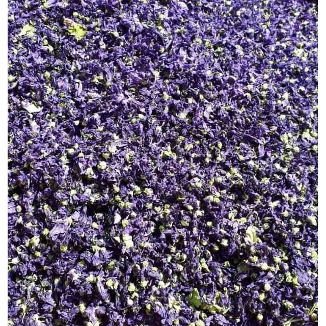 Ebegümeci Çiçeği İthal