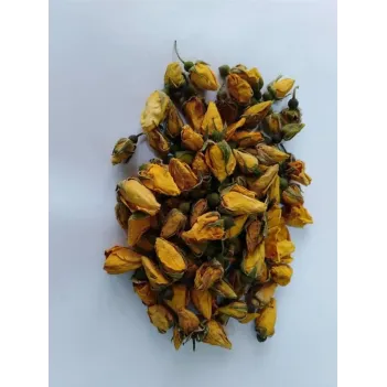 Gül Kurusu Sarı Tomurcuk