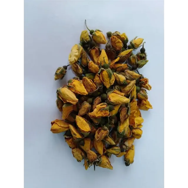 Gül Kurusu Sarı Tomurcuk