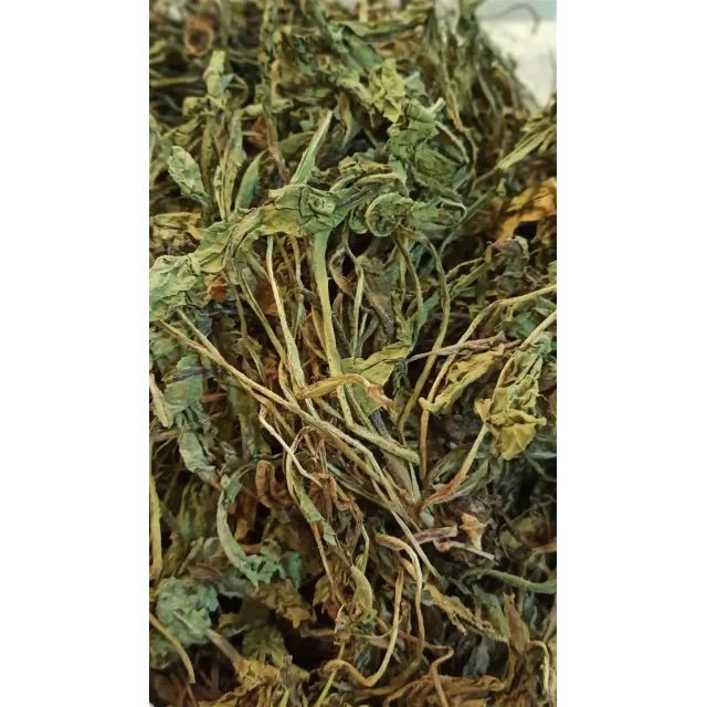 Karahindiba-taraxacum Officinale