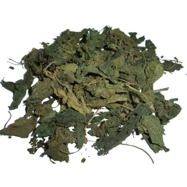 Isırgan Otu Yaprağı