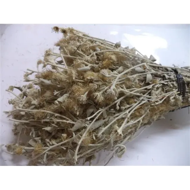 Kaya Oğul Otu Demet