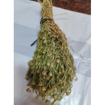 Üzerlik Otu Demet Yeşil 2025