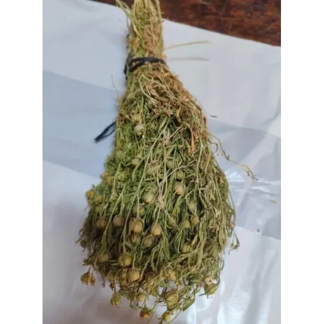 Üzerlik Otu Demet Yeşil 2025