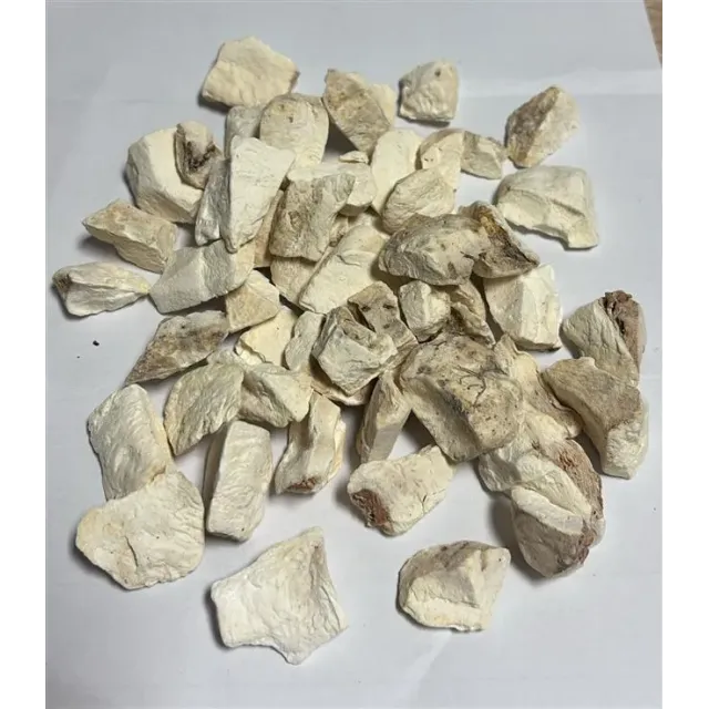 Yılan Burçağı-gavur Pancarı Kökü