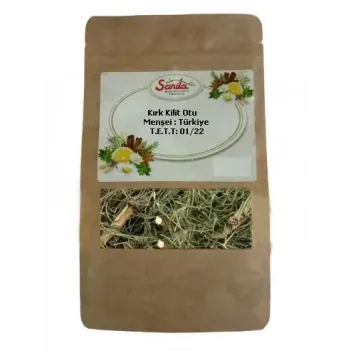 Sanita Kırkkilit 25 Gr