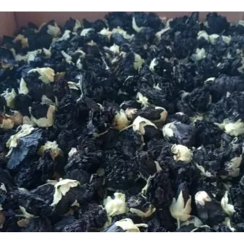 Hatmi Çiçeği İthal Renkli