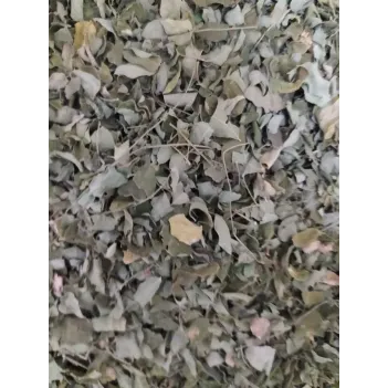 Moringa Yaprak 500 GR