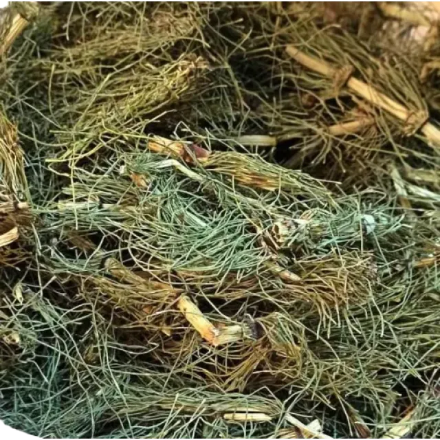 Kırkkilit - At Kuyruğu