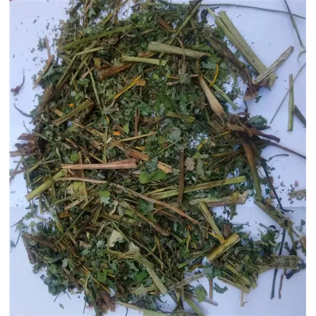 Kırlangıç Otu (göz Otu)