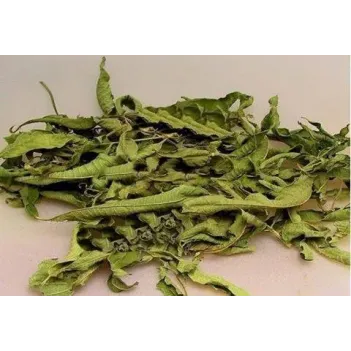 Melisa Limon Kültür Nakliye Hariç 500 GR