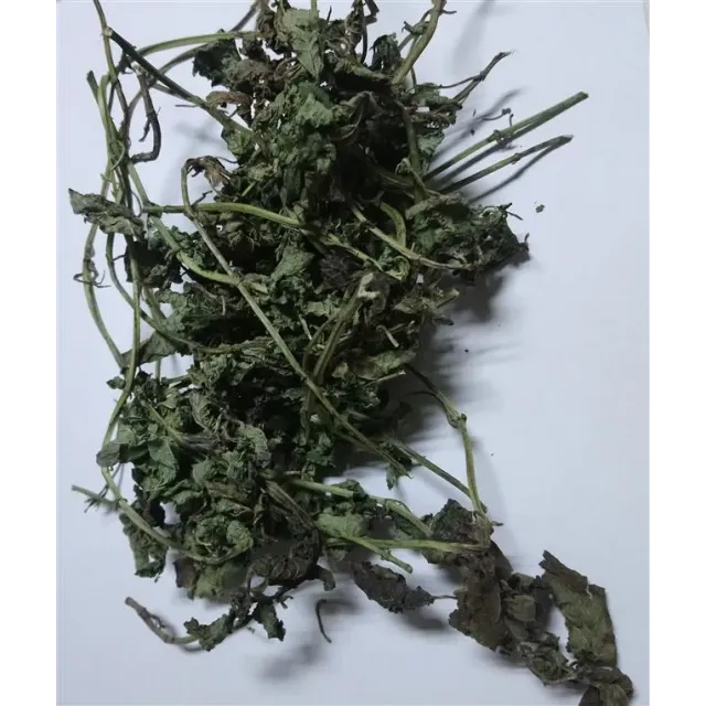 Melisa Otu (dağ) Dallı