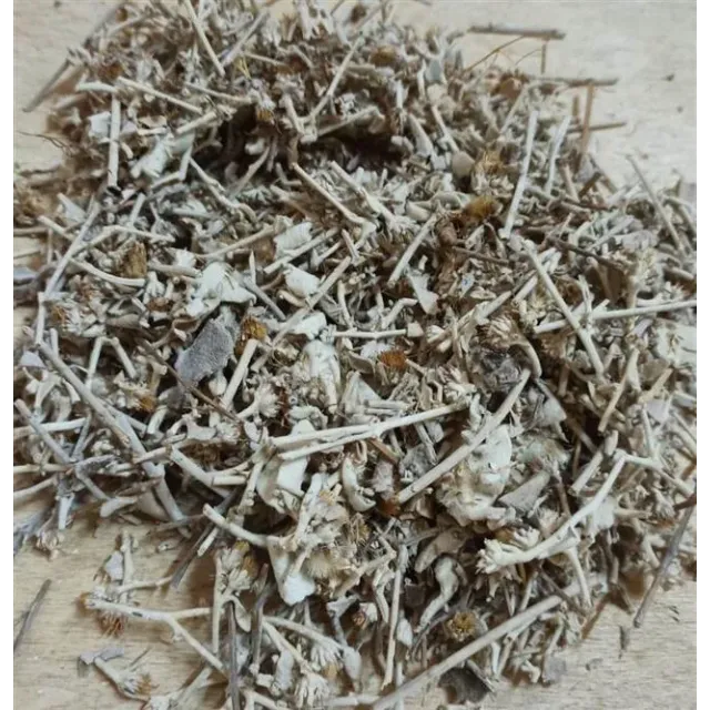 Kaya Oğul Otu(beyaz Çiçekli)