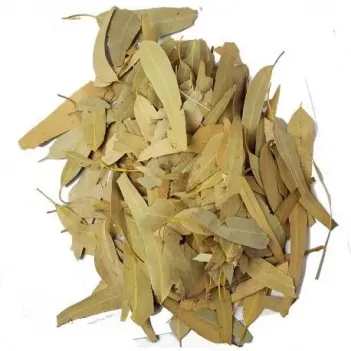 Okaliptüs Yaprağı 100 GR