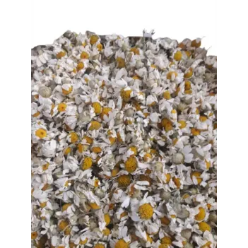 Papatya 2025 Tırmık