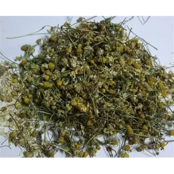 Papatya Çaylık-öğütmelik