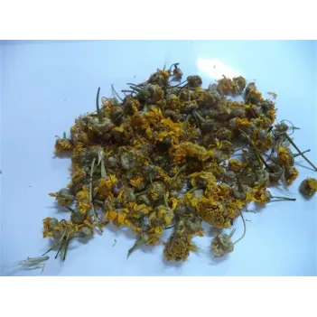 Papatya Sarı-alman Papatyası