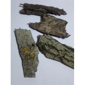 Söğüt Ağacı Kabuğu 500 GR