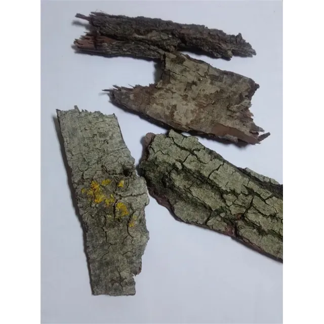 Söğüt Ağacı Kabuğu 250 GR