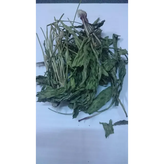 Sinirli Ot-damar Otu