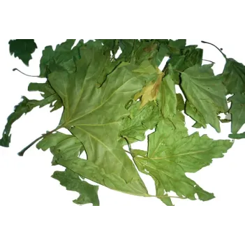 Çınar Yaprağı 500 GR