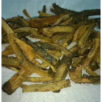 Işgın Kökü-yaban Muzu Kökü 500 GR