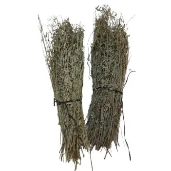 Toros Nanesi Demet Kg