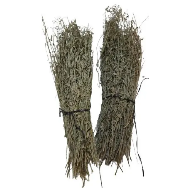 Toros Nanesi Demet Kg