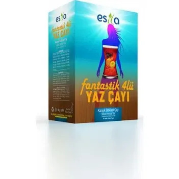 Esila Fantastik Dörtlü Yaz Çayı  45 Adet 90 Gr