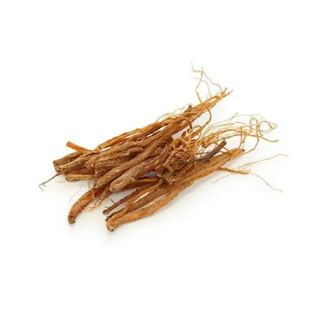 Ginseng Kök Kırmızı