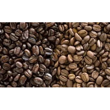 Sanita Çekirdek Kahve Kavrulmuş