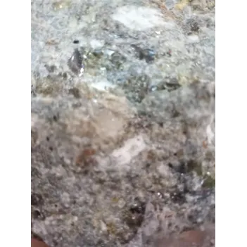 Cavi / Asilbent (benjoin Official) 500 GR